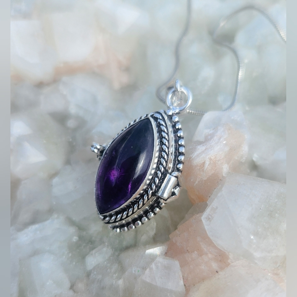 NWT Amethyst Poison Lockett 925 Silver Plated Pendant